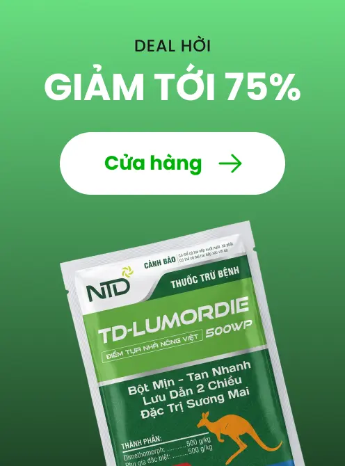DEAL HỜI GIẢM TỚI 75%